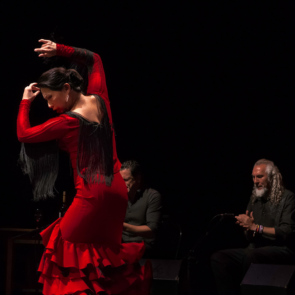 Kasandra Flamenco Ensemble - Sonidos Gitanos