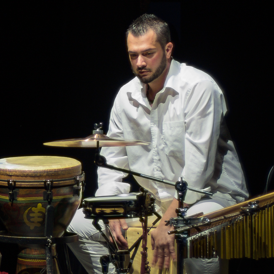 Davide Sampaolo - Percussionist